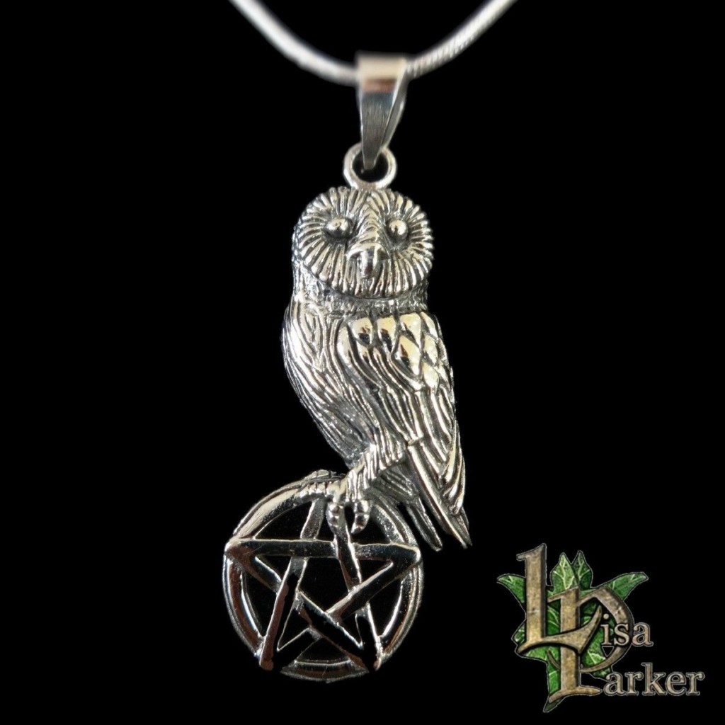 Owl Sitting on Pentacle Sterling Silver Pendant